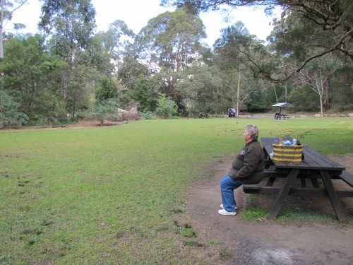 Our picnic area in the Lane Cove National Park